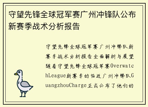 守望先锋全球冠军赛广州冲锋队公布新赛季战术分析报告